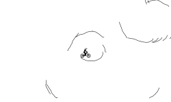 Brush