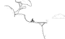Forest run