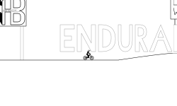 Endurance