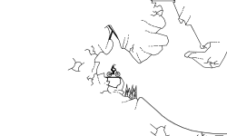 caves