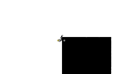 Generated