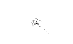 Auto + brush (desc)