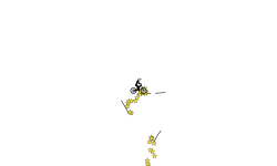 130 Stars in 8.83 seconds