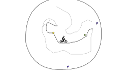 circle