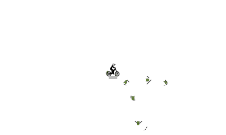 -Auto-