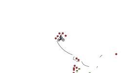 Crazy Course