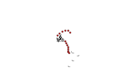 spinning auto