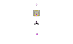 The Patterned Box