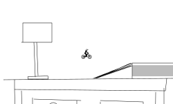 mini biker