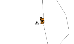 The track