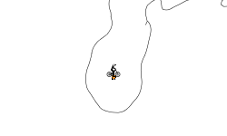 AUTO + HELICOPTER