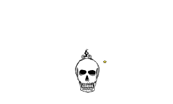 The Skull