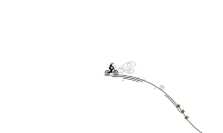 Sky skating