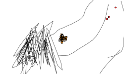 Heli 2
