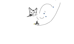 A cat!