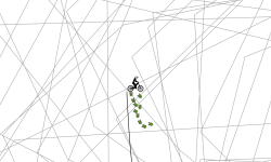 spider webs?