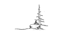 5:48 tree & rock