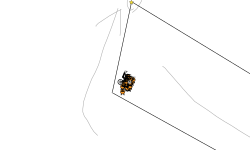 helicopter run
