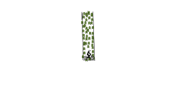 weeeeeeeeeeeeeeee2