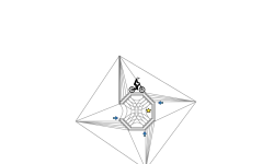 tetrehexagonolagon