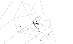 Shapes