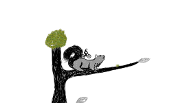Squirrels