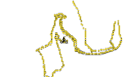 Starry  Track