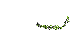 Realax and do some stunts