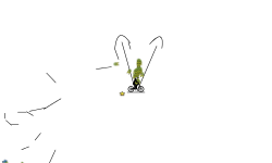 race