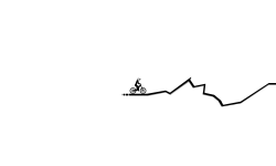 Short Track no.2