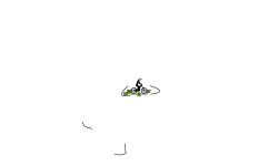 short auto