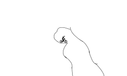 cave jumping and fallen
