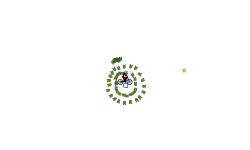 balloon spin