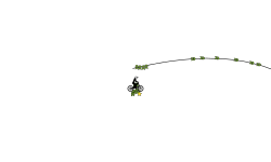 ZipLine #2