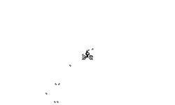 Auto Toe