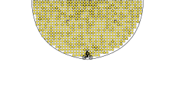 2500 Stars Illuzion in Globe