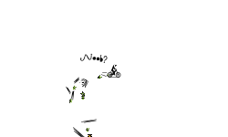 Xtria(Short)