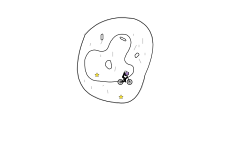 The Donut!