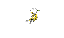 Eastern Goldfinch