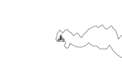 Cave NTBF