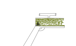 shoot