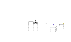 short trail