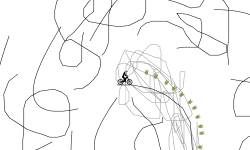 Weird Level