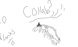 who wants to collab?