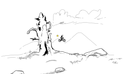 A little tree