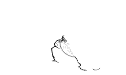 Sooo i felt like FreeRider?