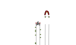 MTB Tube