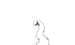 Auto downhill