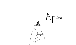 Apex