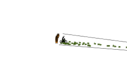 speed